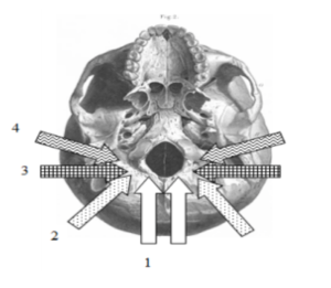 Register – Student OMT